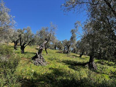 ΤΡΙΚΕΡΙ - ΜΟΝΑΣΤΗΡΙ