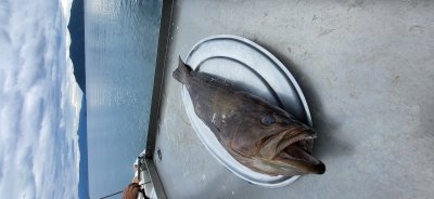 Χειμωνιάτικες εκδρομές 